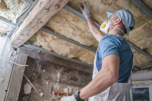 Insulation Replacement Services in Haven, KS
