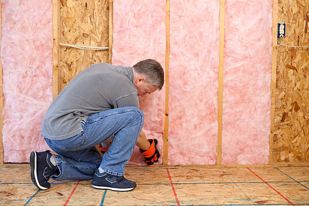 Best Garage Insulation Installation  in Haven, KS